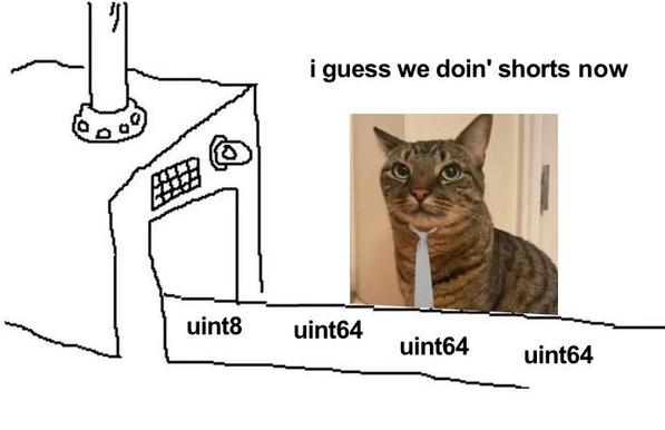 The cat from the “i hope i don’t have a long day meme”
 is positioned above a sketch of a factory line out of which is a several “uint64” and a single "uint8”.

The caption “i guess we doin' shorts now".